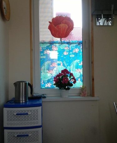 Гостиница Olympic Guest House Сочи